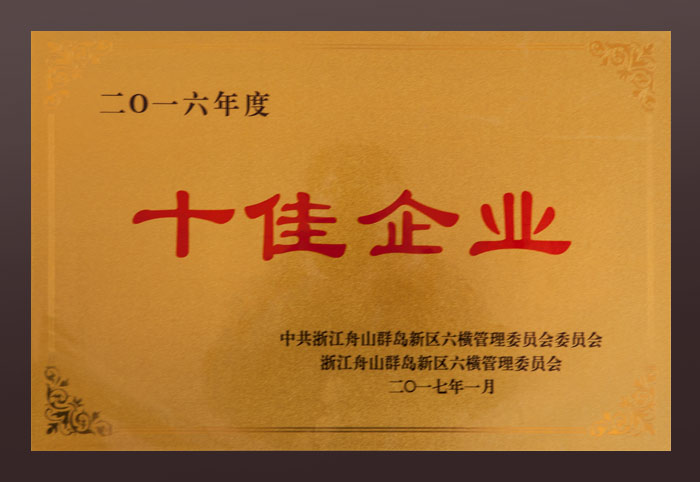 2016年十佳企業(yè)